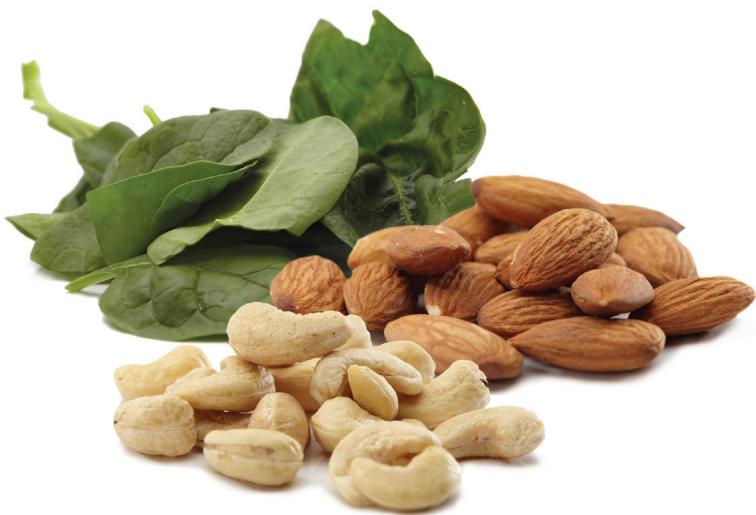 NUTRIBULLET NUTRi6OOR - LA TECHNIQUE PAR FRAPPES - 2