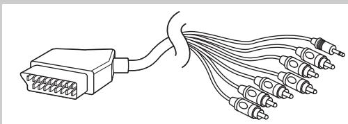 PHILIPS DFR 9000/01 - Connexion SCART/RGBS - 2