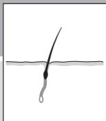 REMINGTON IPL5000 I-LIGHT - Que fait i-Light? - 3