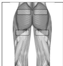 SLENDERTONE SHORT BOTTOM FEMME - 3