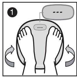 WEYMARQUE TERRAILLONREFERENCE - Fonctionnement : - 1