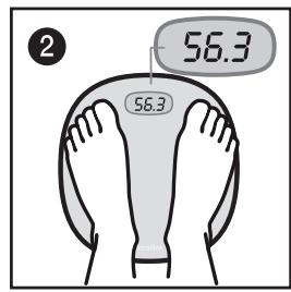 WEYMARQUE TERRAILLONREFERENCE - Fonctionnement : - 2