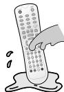 PROLINE B 1909 HXD - Précautions pour la télécommande - 2