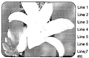 LITE-ON LVW-1101/1105 - A propos du 'Balayage progressif' - 1