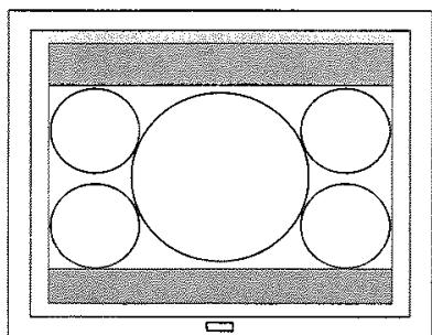 LITE-ON LVW-1101/1105 - Paramétrer le format de l'image - 4