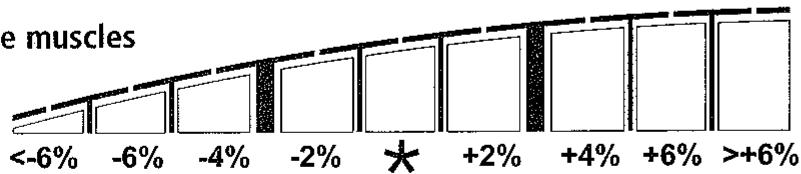 SOEHNLER RIO 63710 - Pourcentage de muscles - 2