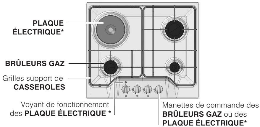 SCHOLTES TG 631 EIX - Vue d'ensemble - 1