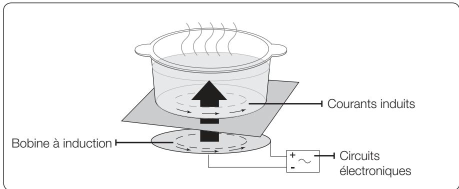 SAMSUNG CTN464FB01 - CHAUFFAGE PAR INDUCTION - 1