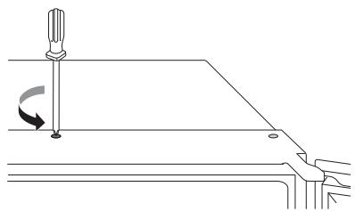 CAEL DARTY - REMARQUE - 1