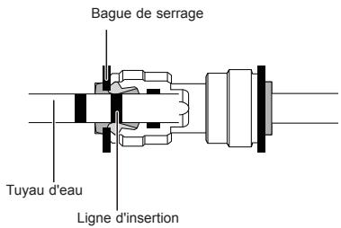 CAEL DARTY - REMARQUE - 5