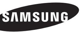 SAMSUNG SNH-P6410W - Élimination appropriée du produit - 1