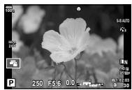 OLYMPUS E-M1 MARK 2 - Cadre de zoom AF/Zoom AF (Super Spot AF) - 1