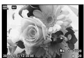 OLYMPUS E-M1 MARK 2 - Affichage en gros plan - 1