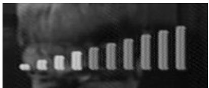 C6V PREMIO ST4 - Volume sonore - 1