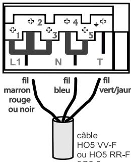 ROSIERES VMI 60 - La plaque à bornes offre deux possibilités de branchement : - 3