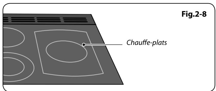 FALCON PROFESS+ 110 - Chauffe-plats (110RE alimentation) - 3