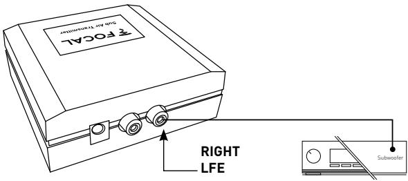 FOCAL DOME FLAX 5.1.2 WHITE - Connexion sur les entrées RCA bas niveau - 1