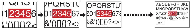 TOSHIBA TLP 250 - Appuyez sur RESIZE () . - 3