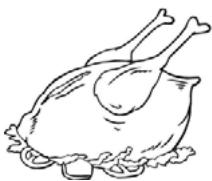 FORTEX TTR118WH - Poultry - 1