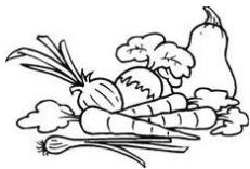 FORTEX TTR118WH - Bac à légumes - 1