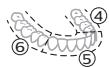 PHILIPS HX7108/01 - Funkcia BrushPacer - 2