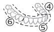 PHILIPS HX7108/01 - BrushPacer - 2