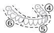 PHILIPS HX7108/01 - BrushPacer - 2