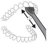 PHILIPS HX7108/01 - Instructions de brossage - 5