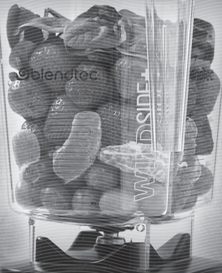 BLENDTEC Mixeur900501 - LES BASES DU MÉLANGEUR - 1