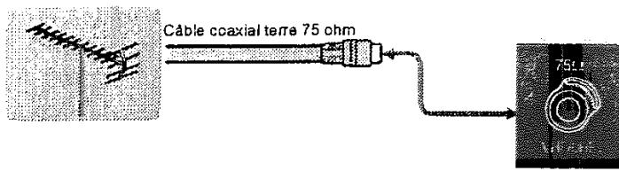 PROLINE LD3255HD - Branchement d'équipement péripérisque - 1