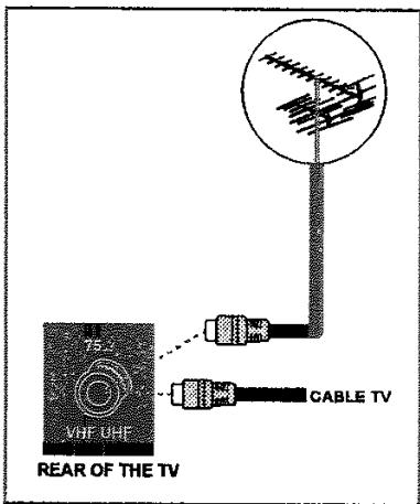 PROLINE LD3255HD - Branchements à la prise d'entrée de l'antenne - 1