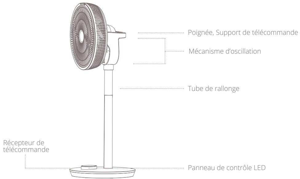 DUUX WHISPER FLEX NOIR K - Aperçu du produit - 1