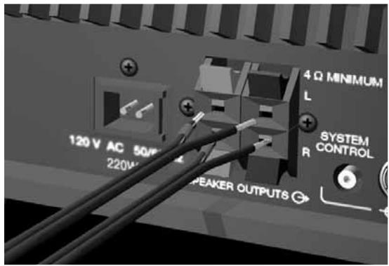 BOSER SA-1 - Raccordement des enceintes sur l'amplificateur stéreo Lifestyle® - 1