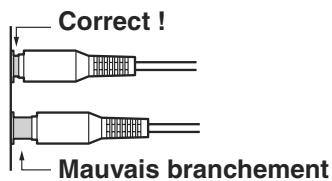 ONKYO A-9555 - Code de couleur des fiches RCA pour appareils audio - 2