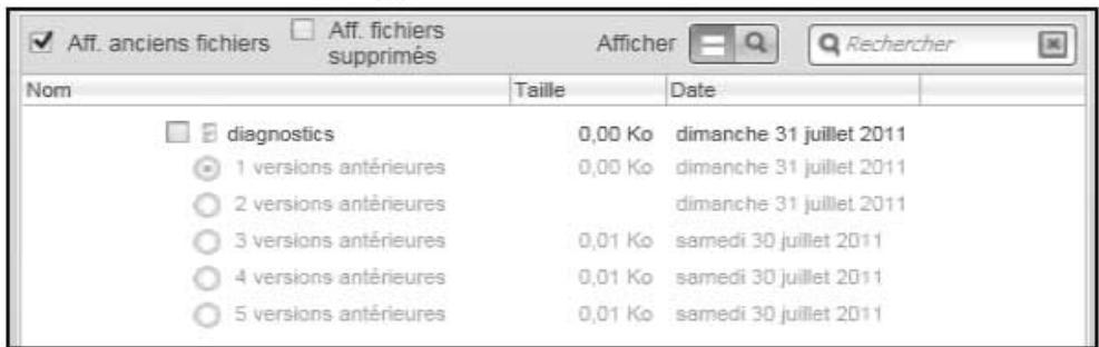 WESTERN DIGITAL DD 1To BK+CLUSB 1660 - Ecran Sélectionner une destination pour les fichiers récapucérés : - 2
