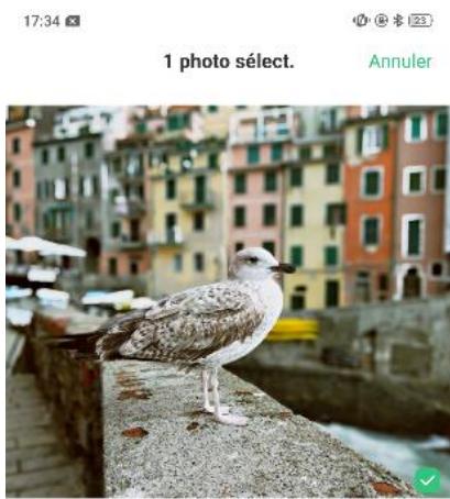 OPPO SMARTPHONE_RX17_PRO_VIOLET_128GO - Voir et utiliser des photos et des vidés - 3