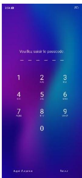 OPPO SMARTPHONE_RX17_PRO_VIOLET_128GO - Réinitialiser le mot de passer avec empreinte digitale - 1