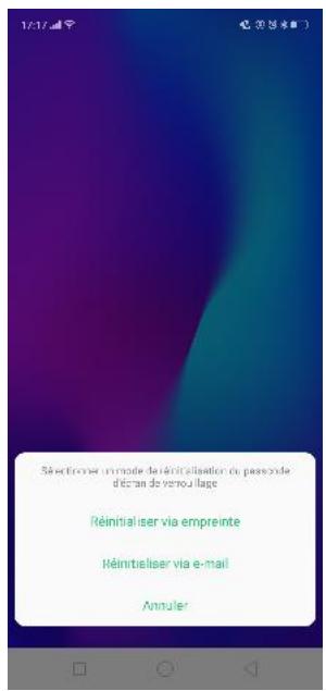 OPPO SMARTPHONE_RX17_PRO_VIOLET_128GO - Gérer le code de confidentialité - 8