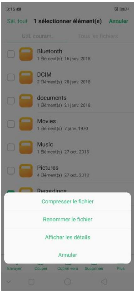 OPPO SMARTPHONE_RX17_PRO_VIOLET_128GO - Voir et gérer les fichiers - 2
