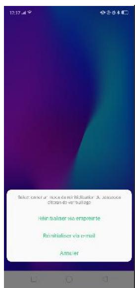 OPPO SMARTPHONE_RX17_PRO_VIOLET_128GO - Réinitialiser le mot de passer avec empreinte digitale - 2