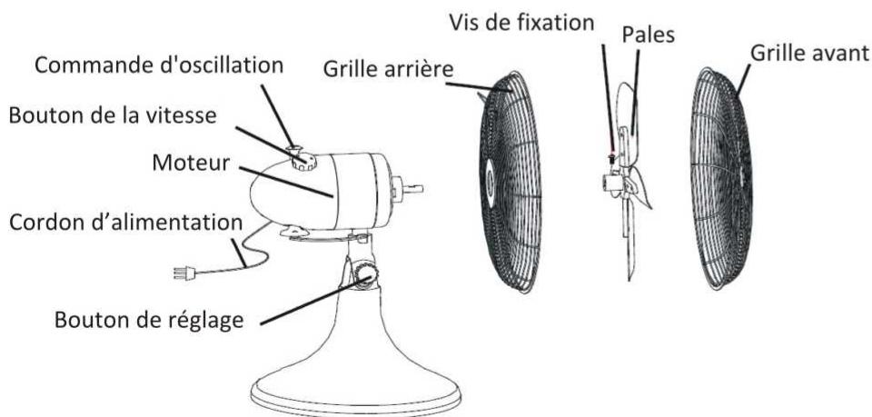 AERIAN RF25cObI - DESCRIPTION - 1