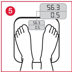 TERRAILLON FINESS 7 ARGENT - B.2 - 5
