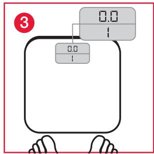 TERRAILLON FINESS 7 ARGENT - B.2 - 3