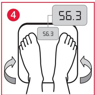 TERRAILLON FINESS 7 ARGENT - GARANTIE - 7