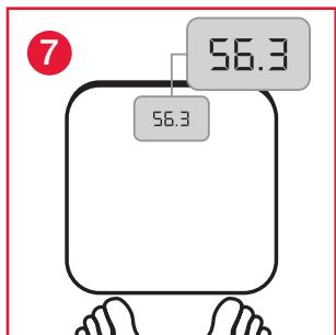 TERRAILLON FINESS 7 ARGENT - GARANTIE - 10