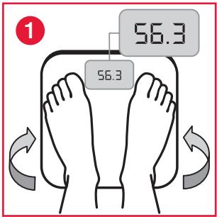 TERRAILLON FINESS 7 ARGENT - GARANTIE - 2