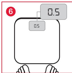 TERRAILLON FINESS 7 ARGENT - GARANTIE - 9