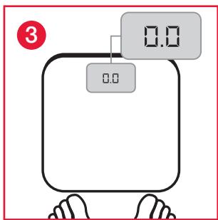 TERRAILLON FINESS 7 ARGENT - GARANTIE - 6