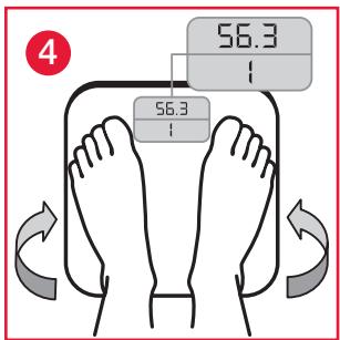 TERRAILLON FINESS 7 ARGENT - B.2 - 4