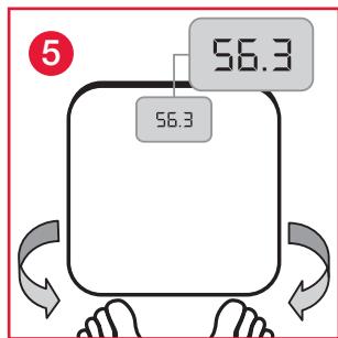 TERRAILLON FINESS 7 ARGENT - GARANTIE - 8